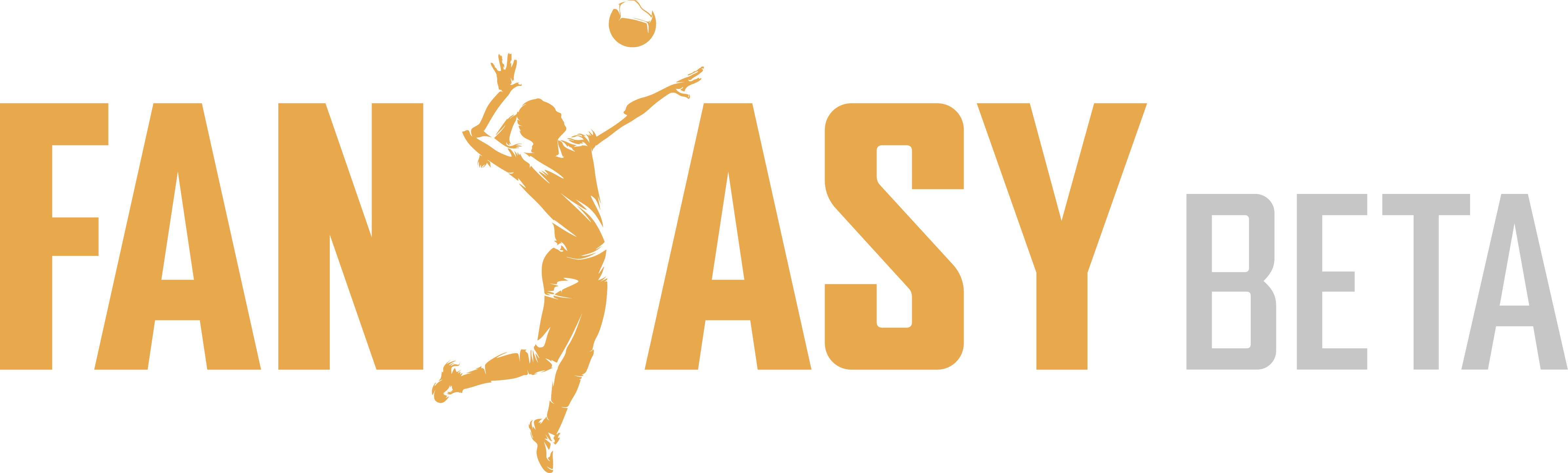 Fantasy Volleyball